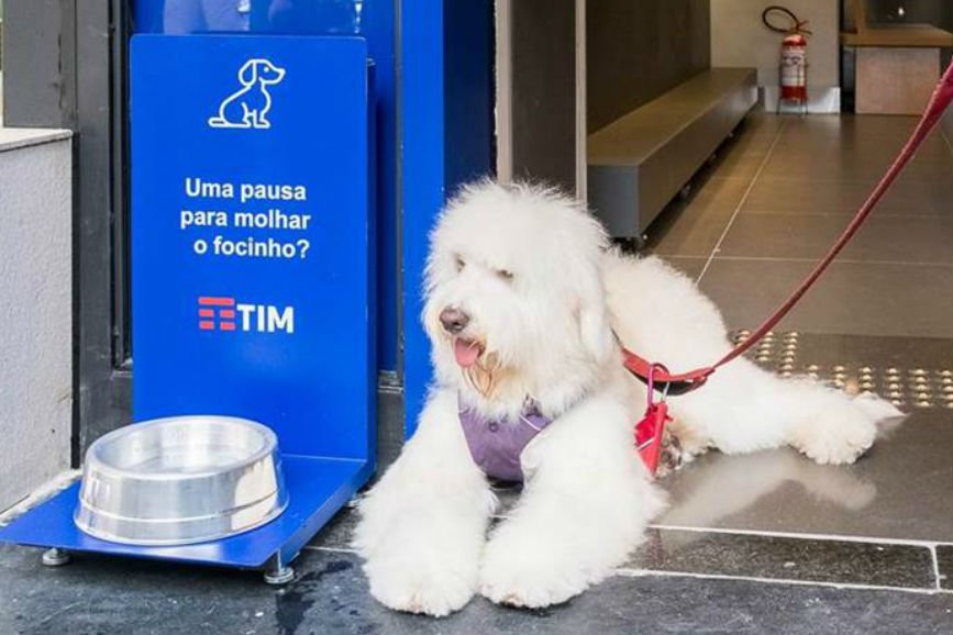 Com foco em experiência, nova loja conceito da TIM recebe pets e bikes