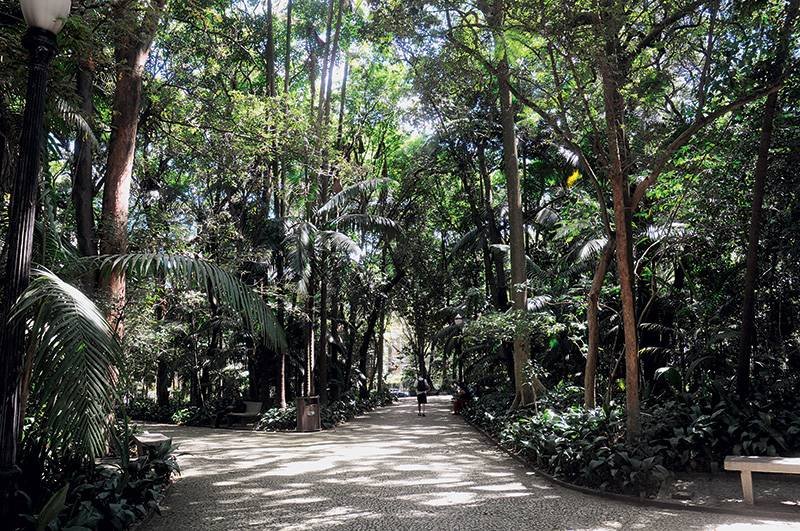 Parque Trianon, na avenida Paulista: prefeitura fará concessão do espaço (Cida Souza/VEJA São Paulo/VEJA)