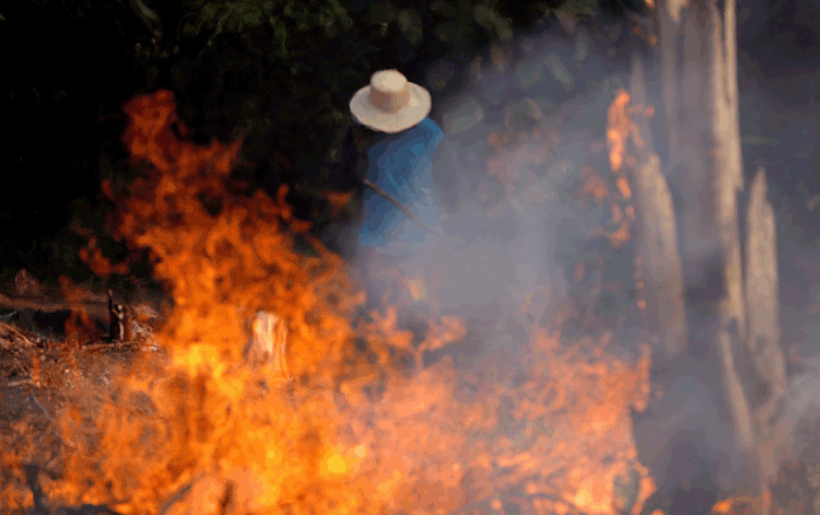 Incêndios: a Amazônia perdeu uma área do tamanho do município do Rio de Janeiro em julho, diz pesquisa (Bruno Kelly/File Photo/Reuters)