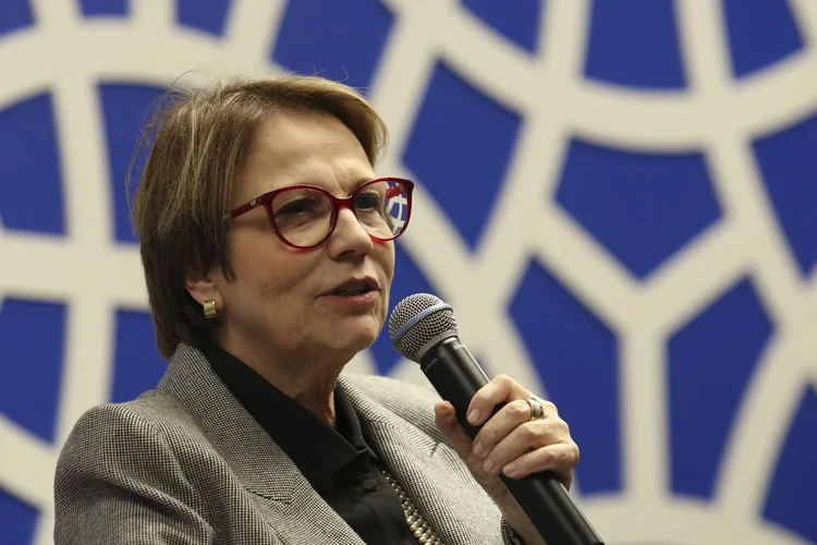 Amazônia: "Qual país não tem esse problema?", questionou a ministra ao criticar a imprensa (Rovena Rosa/Agência Brasil)