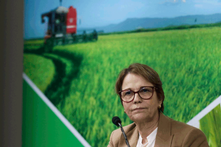 Tereza Cristina: ministra está em viagem a países árabes para alavancar exportações do Brasil (Marcello Casal Jr/Agência Brasil)