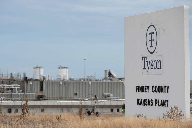 Tyson Foods: grupo quer ampliar atuação no mercado global (Adam Shrimplin/Reuters)