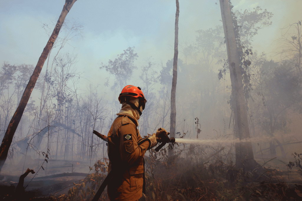 Incêndio na floresta amazônica, em 2019. (Amanda Perobelli/Reuters)