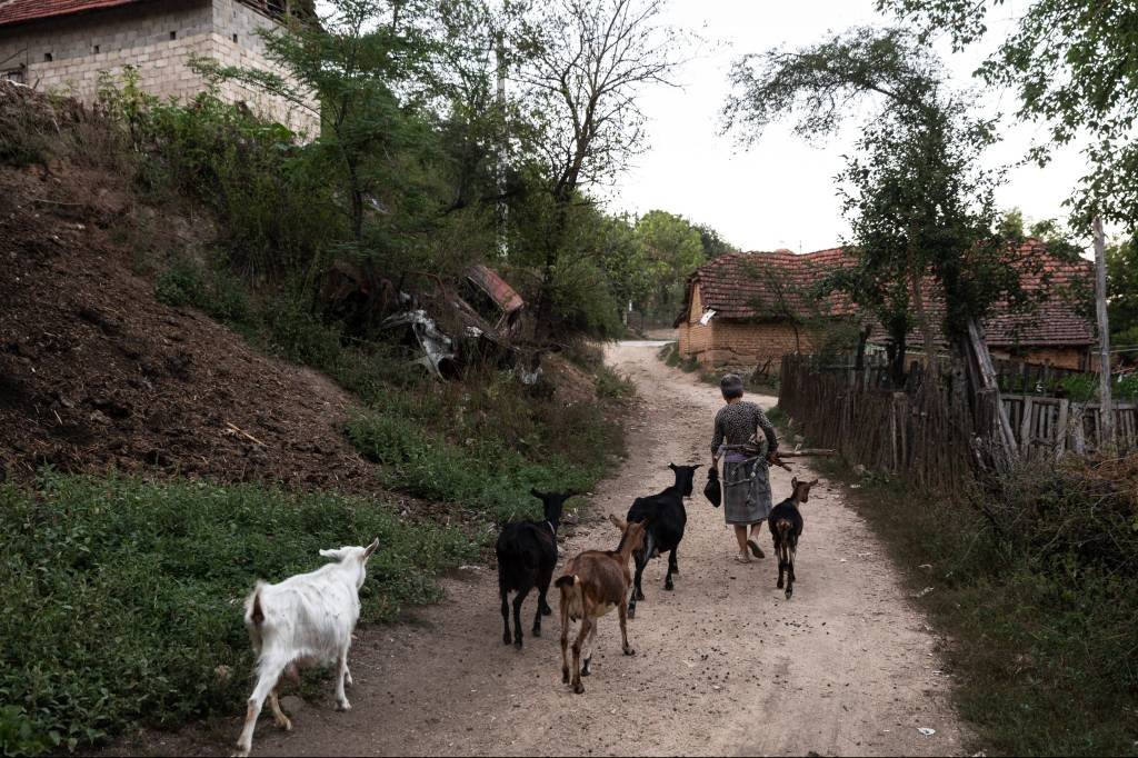 Apetite insaciável por baterias que alimentam tudo despertou interesse por uma mulher que cuida de cabras na vila de Klinovac, Sérvia (Konstantinos Tsakalidis/Bloomberg)