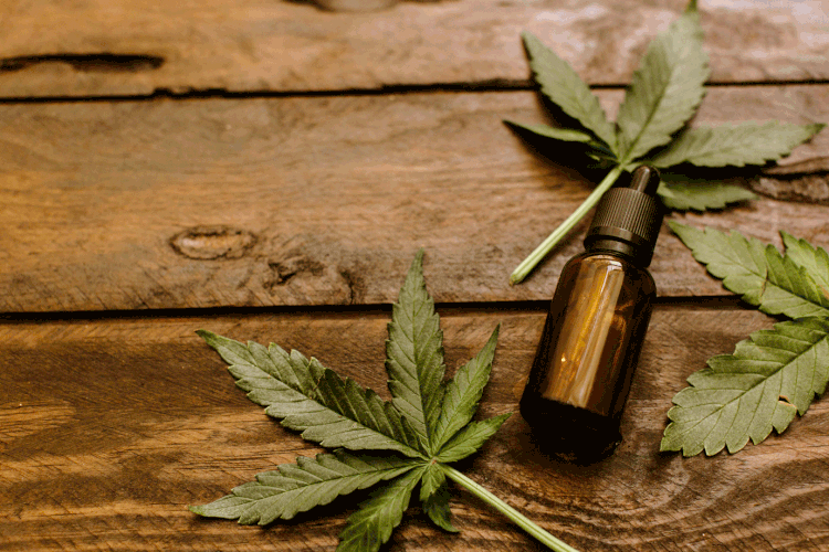 Maconha medicinal: texto aprovado nesta terça-feira dispõe sobre os procedimentos para a concessão de autorização sanitária para a fabricação e a importação desses produtos (Victoria Bee Photography/Getty Images)