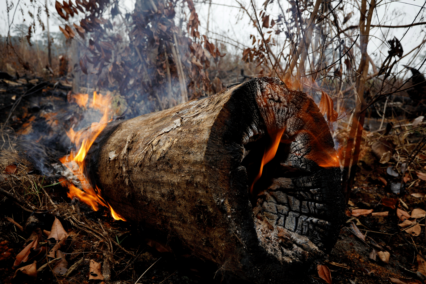 NYT diz que fumaça dos incêndios da Amazônia "cheira a dinheiro"