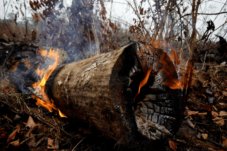 Amazônia: região foi alvo de incêndios nos últimos meses e ganhou repercussão mundial (Bruno Kelly/Reuters)