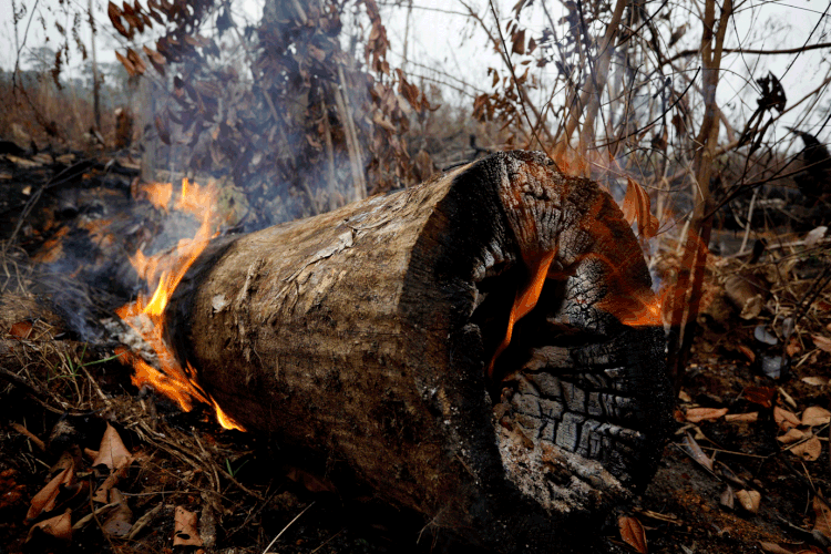 Amazônia: The New York Times publicou reportagem especial na qual fala sobre "milhares de incêndios intencionais" na floresta (Bruno Kelly/Reuters)