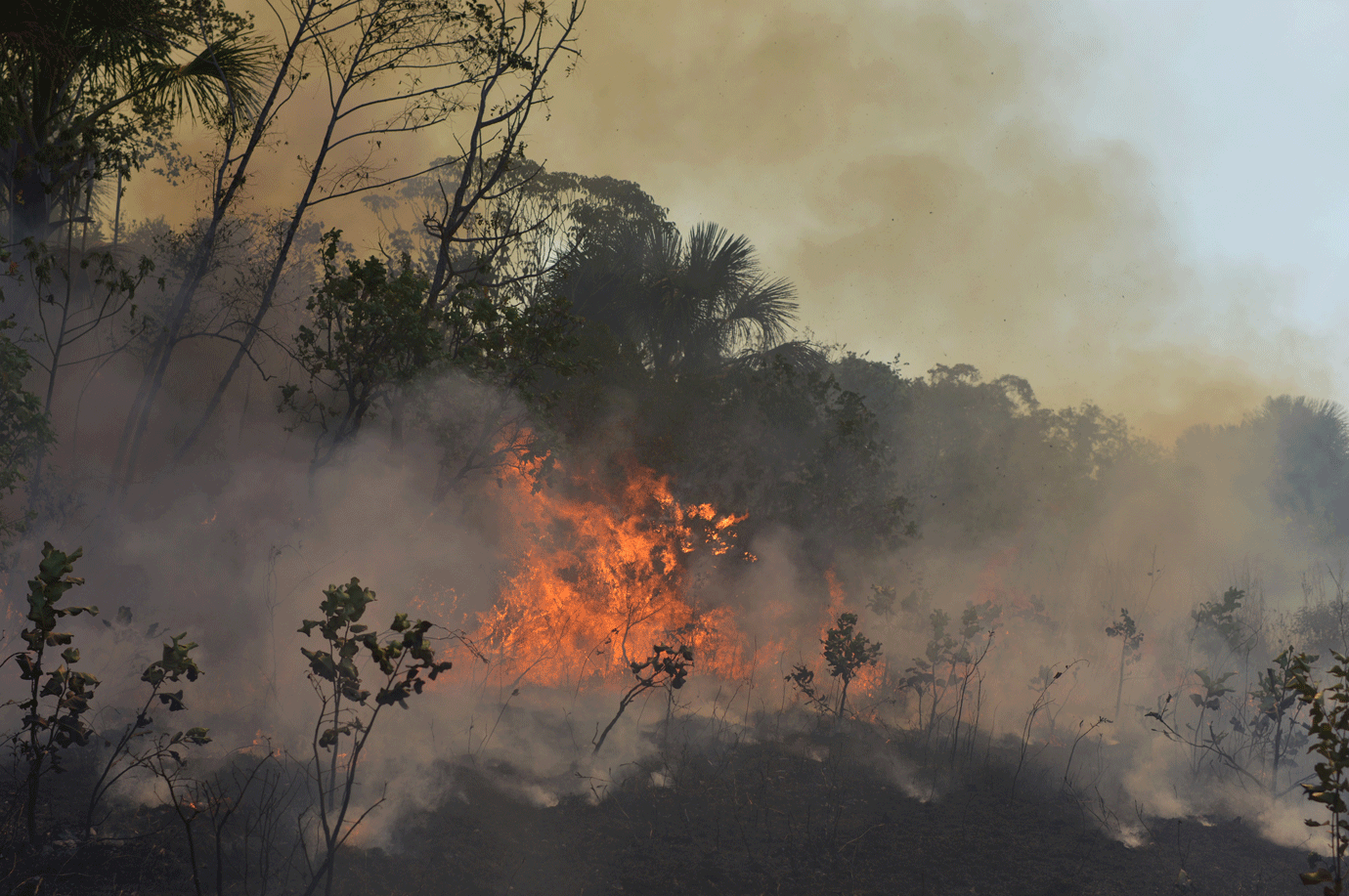 Brasil e China lançam satélite para monitorar Amazônia