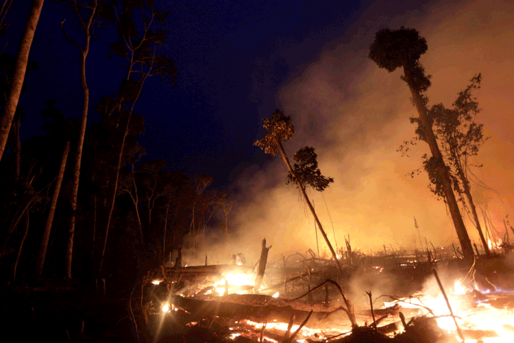 Amazônia: floresta é alvo de discussões desde aumento de incêndios e desmatamentos (Ricardo Moraes/Reuters)