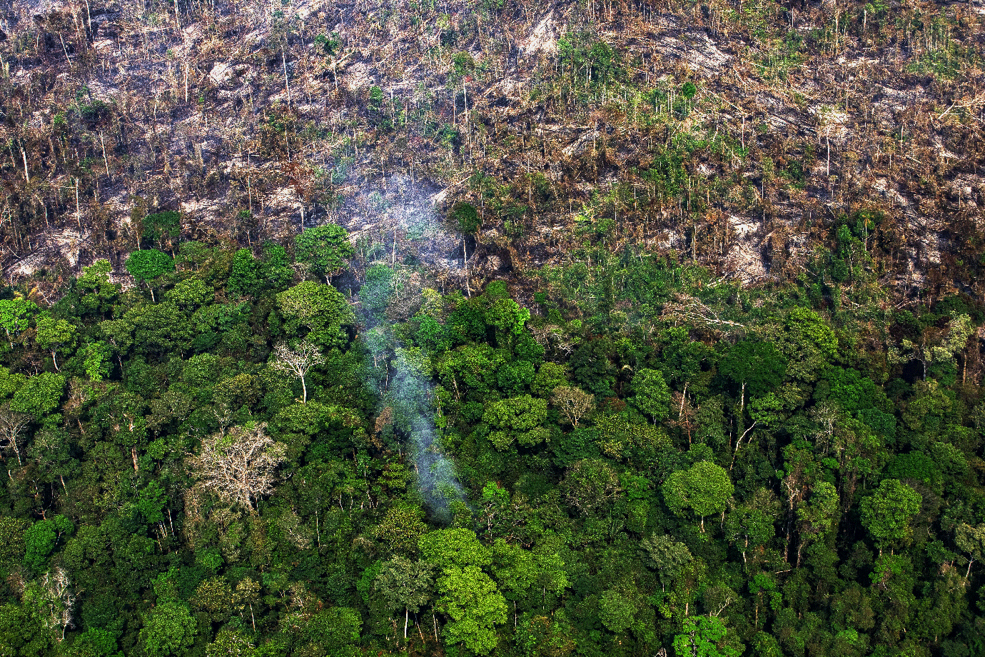 Como a Amazônia chegou a mil focos de incêndio por dia em agosto