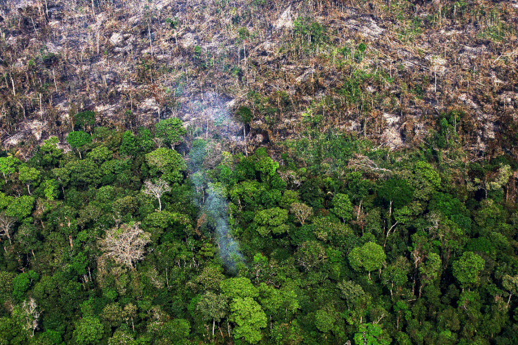 Amazônia; queimadas; incêndios; florestas; desmatamento (Victor Moriyama/Getty Images)