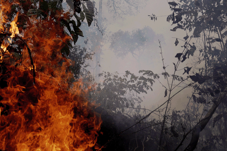 Amazônia: das 10 áreas identificadas como maiores alvos de desmatamento este ano, as seis primeiras ficam no Pará (Ricardo Moraes/Reuters)