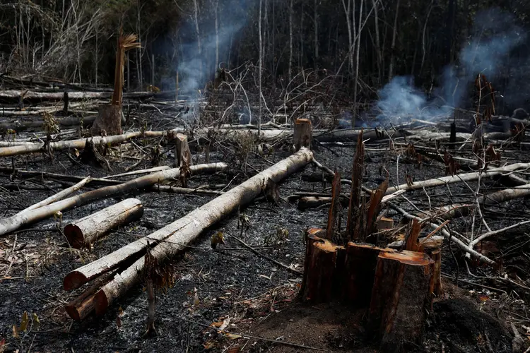 Amazônia: um grupo de 181 presidentes de empresas americanas lançou manifesto defendendo a boa relação com clientes e comunidades (Bruno Kelly/Reuters)