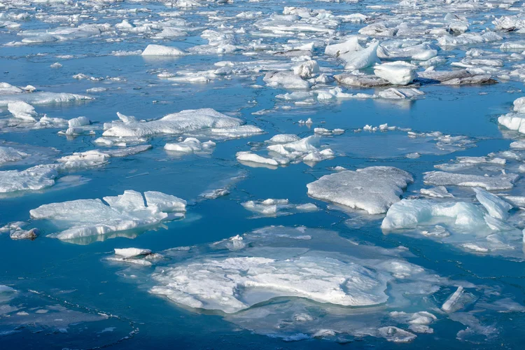 Aquecimento global: aquecimento, acidificação, a perda de oxigênio e as mudanças nos aportes de nutrientes já estão afetando a distribuição e a abundância da vida marinha (Daniel Viñé Garcia/Getty Images)