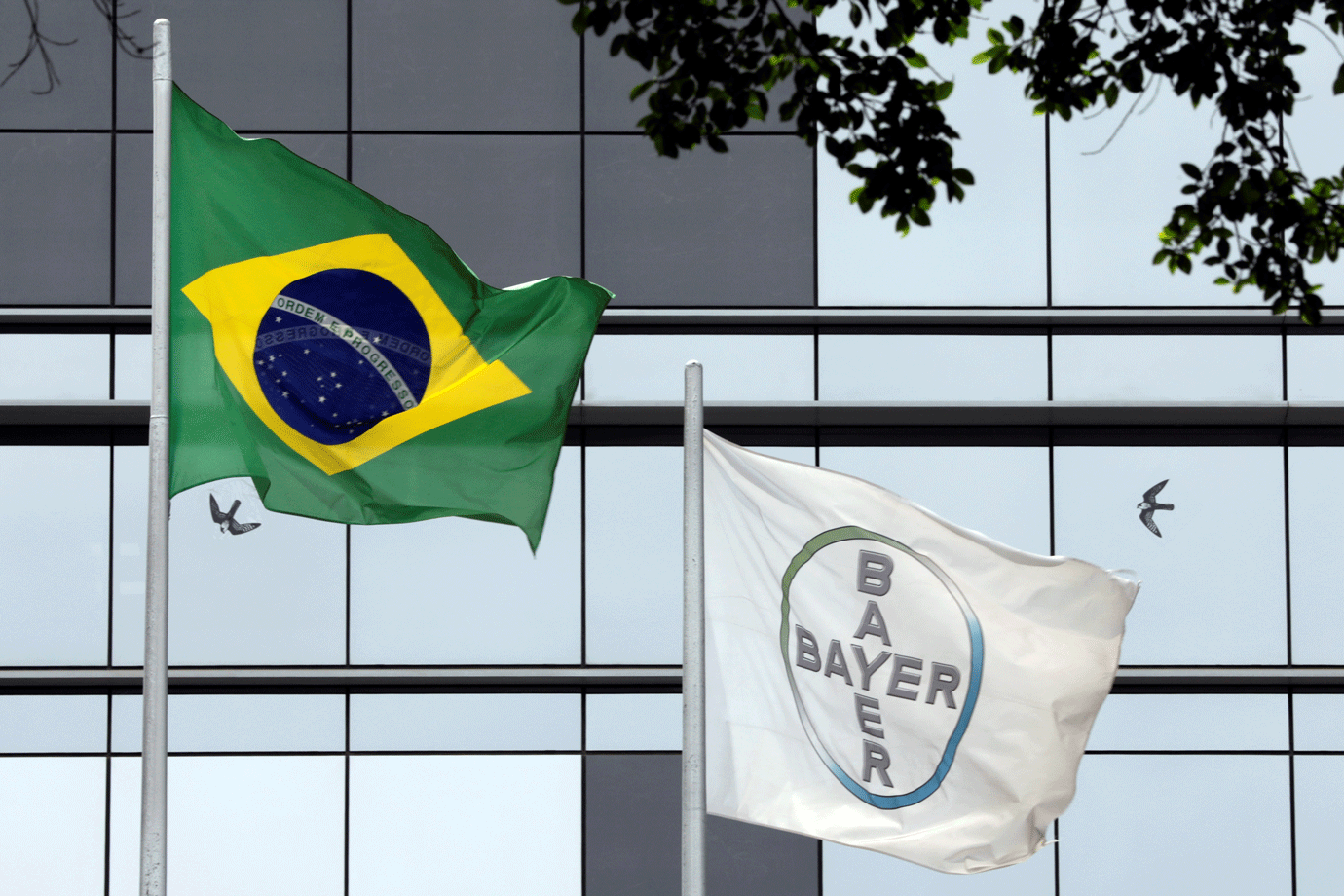 Bayer muda escritório da divisão farmacêutica dos EUA para o Brasil