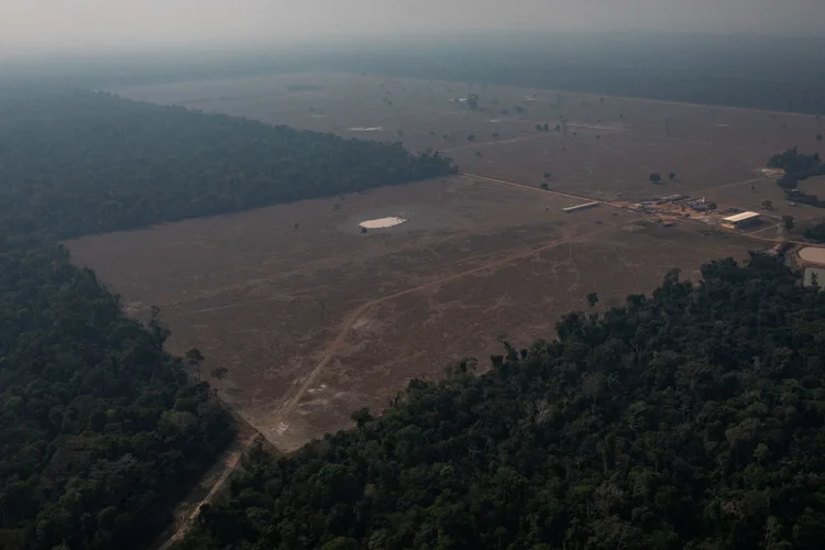 Desmatamento: derrubada de árvores pode aumentar em até cinco vezes até 2030, de acordo com pesquisa (Victor Moriyama/Getty Images)