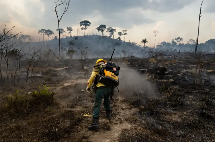 Ibama: nas últimas semanas, o aumento do desmatamento e dos focos de incêndio na Amazônia tem feito o governo federal ser alvo de críticas (Gustavo Basso/Getty Images)