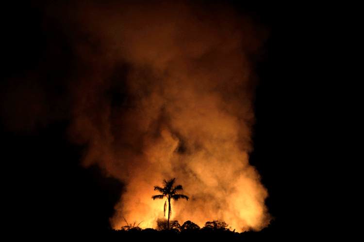 Incêndios: Amazônia é alvo de focos de queimadas há semanas (Ricardo Moraes/Reuters)