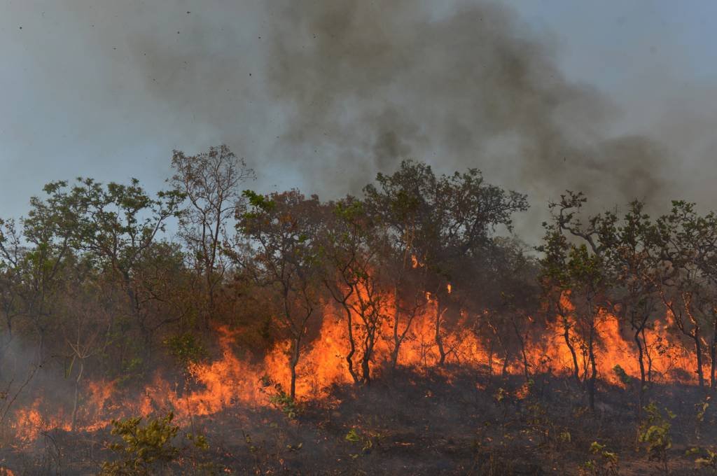 Fogo na Amazônia leva Parlamento da Áustria a rejeitar acordo UE-Mercosul