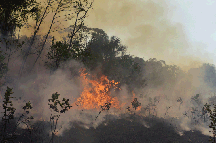 Mato Grosso: a medida tem duração de 60 dias, mas ser prorrogado (Lucas Landau/Getty Images)