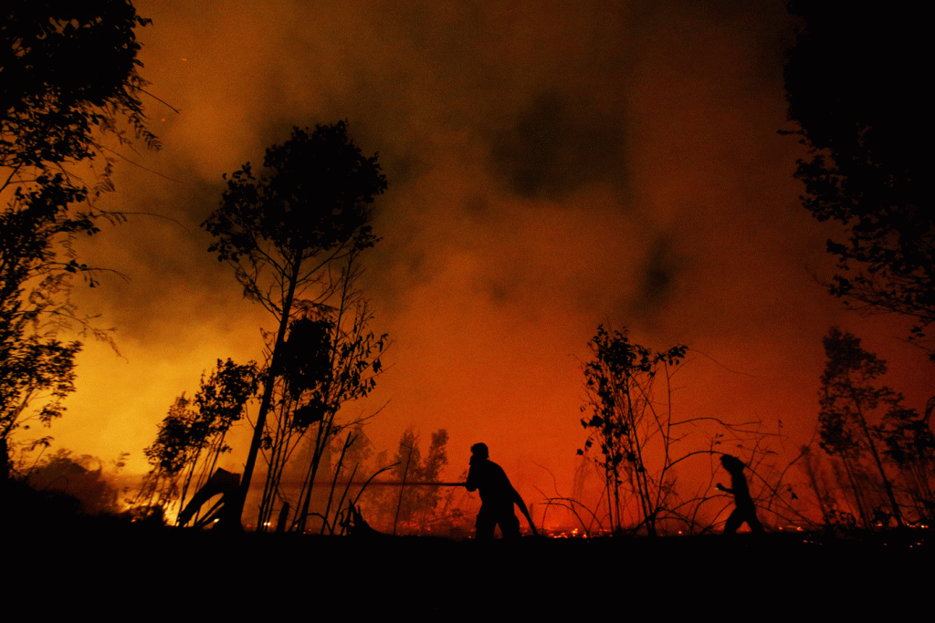Indonésia: os incêndios se intensificaram desde o início de setembro (Willy Kurniawan/Reuters)