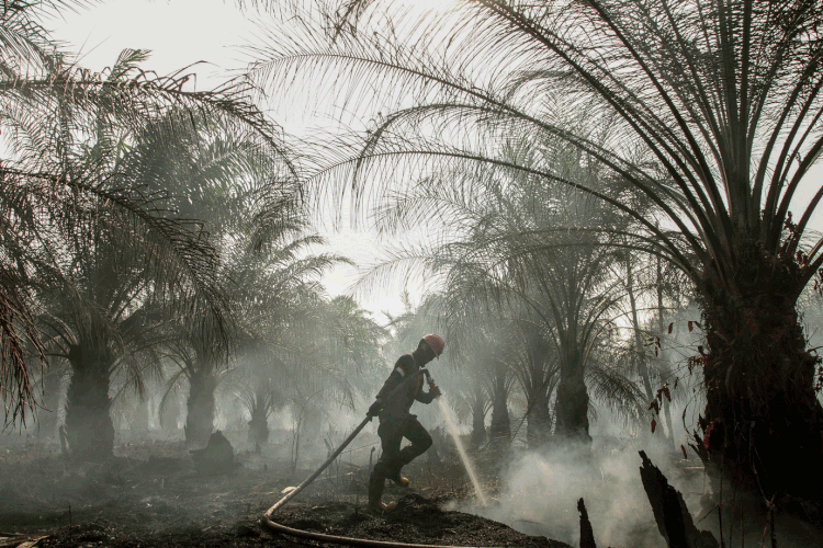 Indonésia: os incêndios estão provocando tensões diplomáticas, já que a fumaça está se espalhando para países vizinhos (Antara Foto/Rony Muharrman/Reuters)