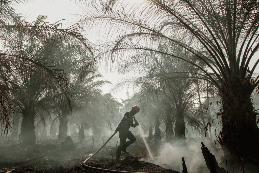 Incêndios florestais arrasam Indonésia e fumaça atinge países vizinhos