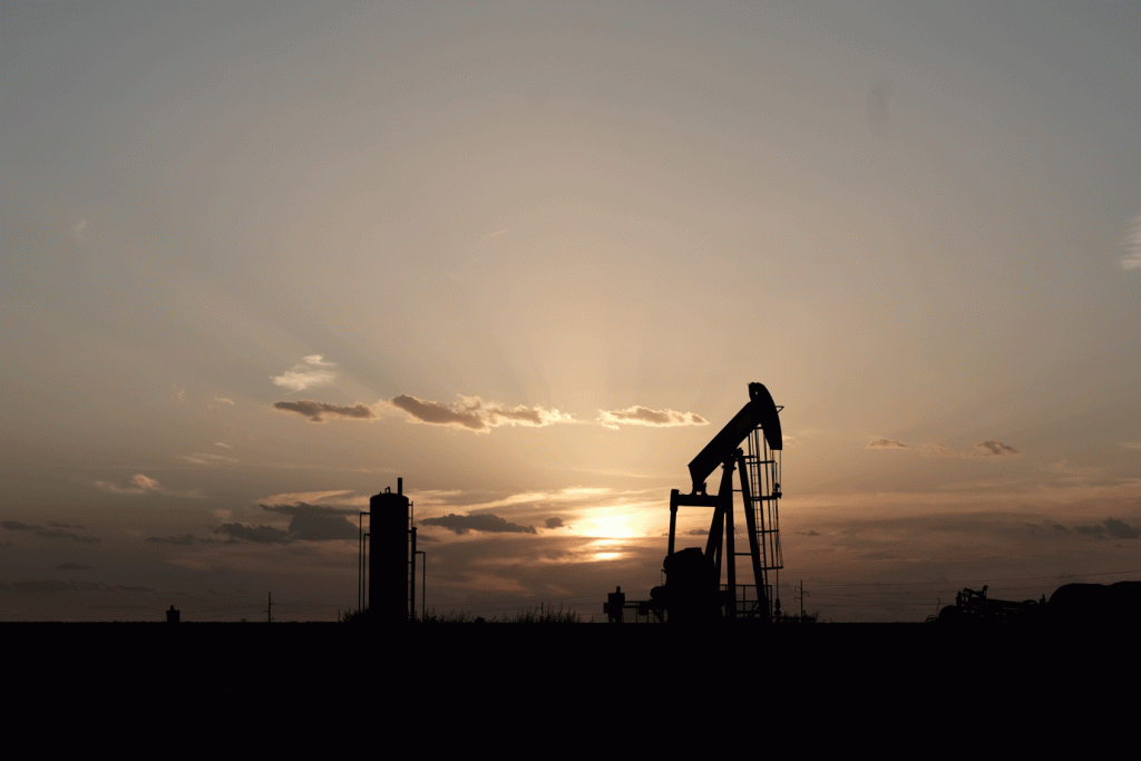 Culpar petroleiras não resolve crise climática, diz CEO da Shell