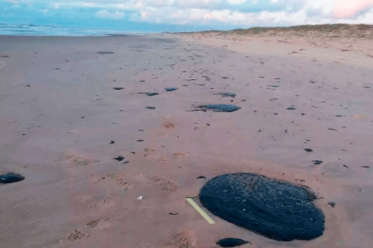 Praia de Pirambu, Sergipe: manchas de óleo puderam ser vistas em toda a faixa de areia (TV Sergipe/Reprodução)