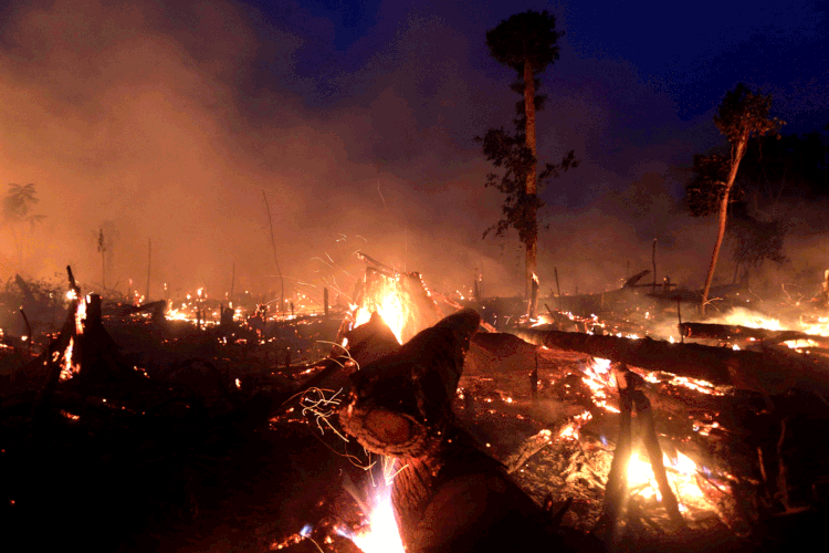 Queimadas: Amazônia tem focos de incêndios há semanas (Ricardo Moraes/Reuters)