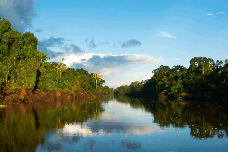 Amazônia: formas de carvão e fuligem foram transportados para o oceano Atlântico (Wolfgang Kaehler / Colaborador/Getty Images)