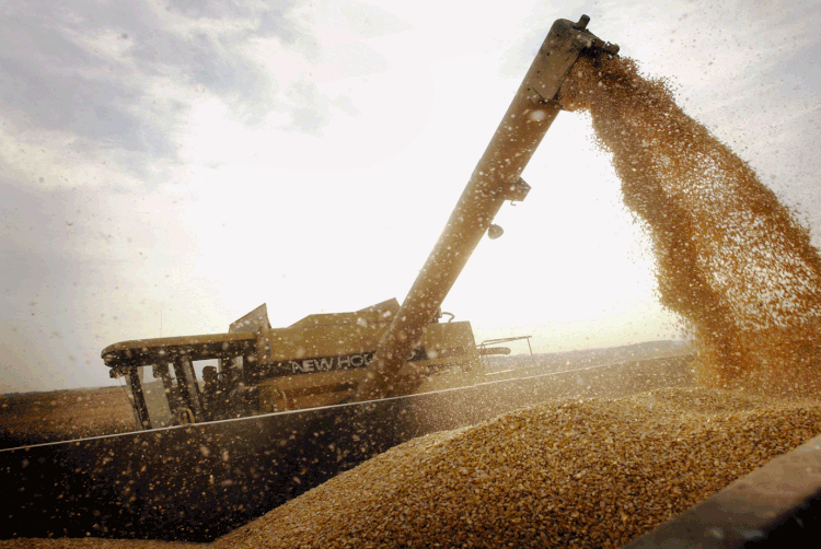 Soja: China anunciou a retirada de tarifas sobre parte da soja e carne suína importada dos Estados Unidos (Scott Olson / Equipa/Getty Images)