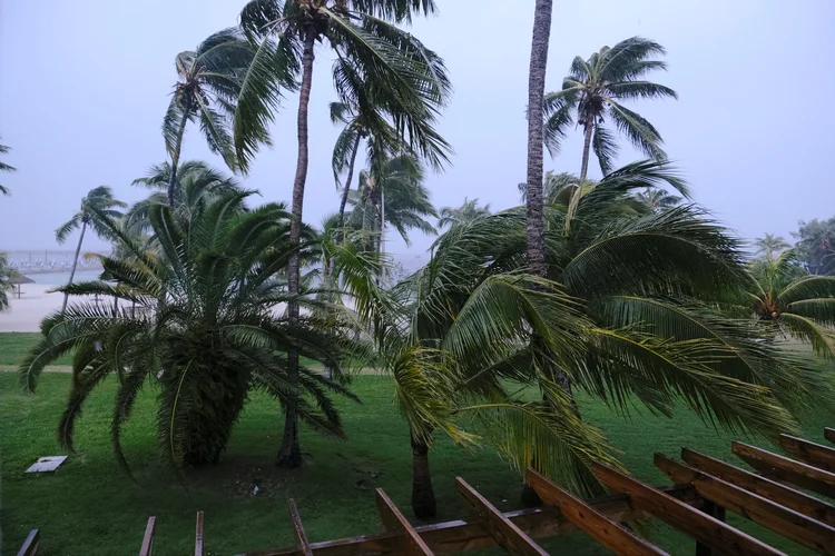 Ventania durante a chegada do furacão Dorian nas Bahamas (Dante Carrer/Reuters)