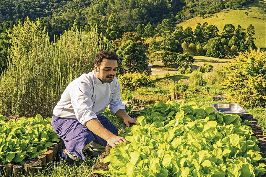 Boa Vida | Em busca da própria comida