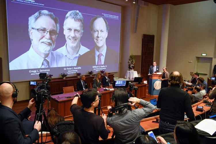 Nobel: Thomas Perlmann, secretário geral do Comitê do Nobel apresenta os vencedores William G. Kaelin Jr, Sir Peter J. Ratcliffe and Gregg L. Semenza (Pontus Lundahl/TT News Agency/Getty Images)