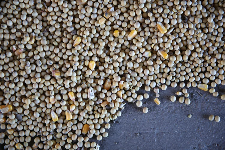 FCStone: fundo para financiar produtores começará com 50 milhões de reais em recursos da empresa. (Daniel Acker/Reuters)