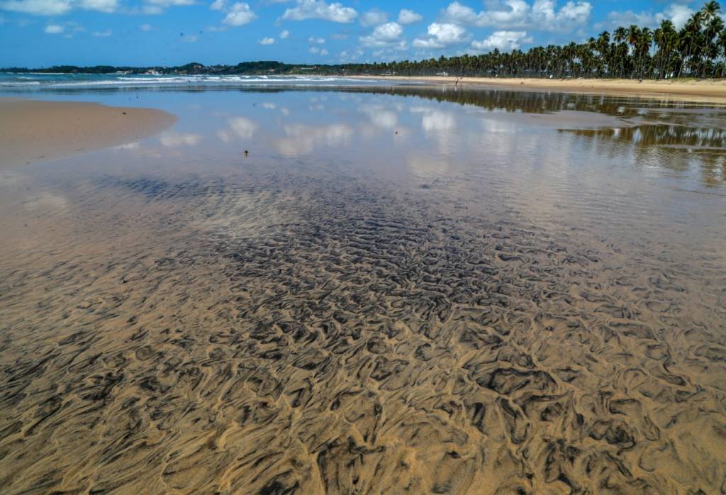 Mancha de óleo na praia do Paiva, em Pernambuco: origem de petróleo cru ainda não foi identificada (Diego Nigro/Reuters)