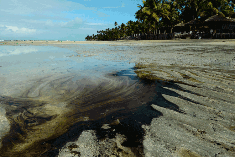 Mancha de óleo atinge praia de Carneiros, cartão-postal de Pernambuco
 (Teresa Maia/Reuters)