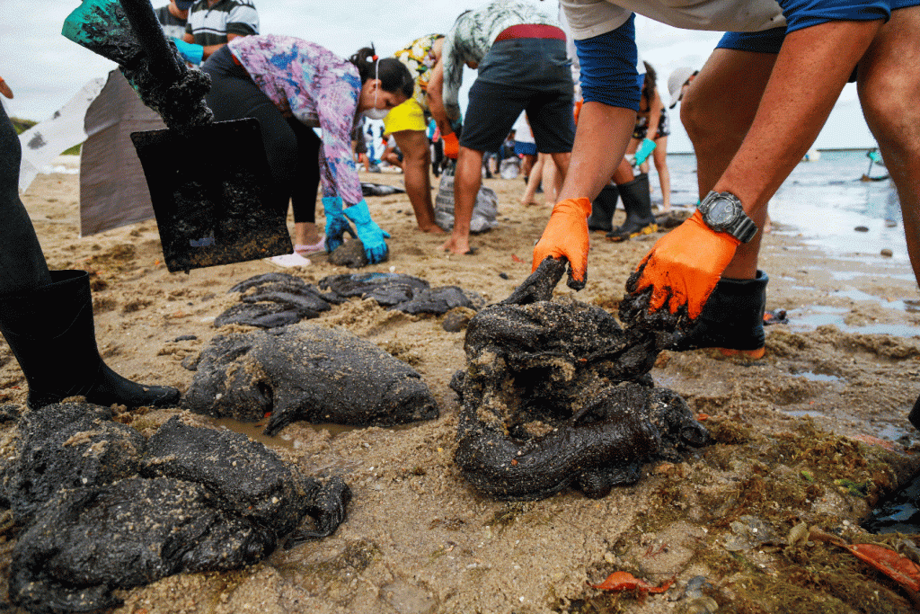 Pessoas removem óleo da praia de Suape, em Cabo de Santo Agostinho (Diego Nigro/Reuters)