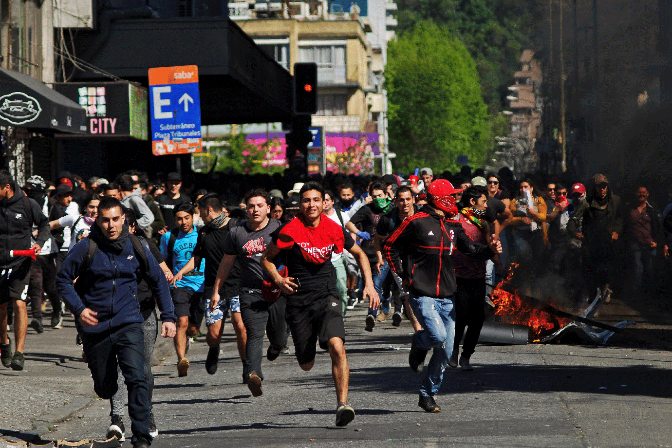 Um milhão de peixes apodrecem em meio a protestos no Chile