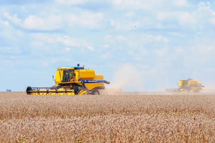 Agricultura: pesquisadores brasileiros e japoneses estudam o impacto de microrganismos nas plantações (Jairo Backes/Getty Images)