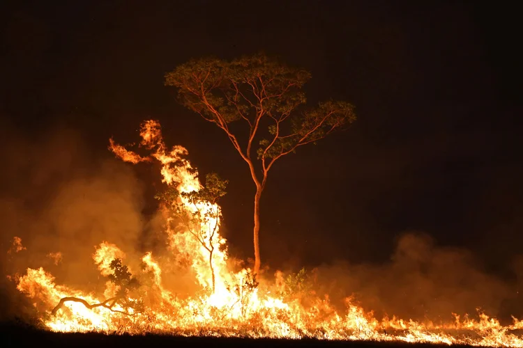 Amazônia: internação de crianças com problemas respiratórios aumentou com incêndios na floresta, diz estudo  (Bruno Kelly/Reuters)