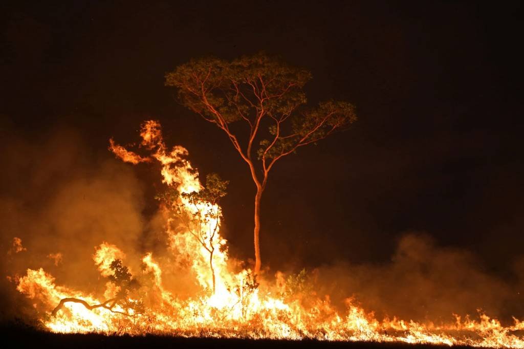 PF faz buscas contra grupo que organizou queimadas na Amazônia