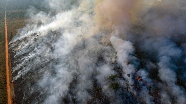 AMAZÔNIA: é preciso reconhecer o poder do soft power e torná-lo parte da estratégia empresarial / Marizilda Cruppe/Amnesty International/Handout via REUTERS