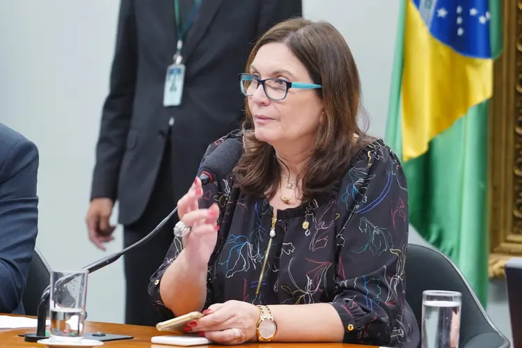 Bia Kicis: deputada foi ao twitter para anunciar o deferimento da liminar (Pablo Valadares/Agência Câmara)
