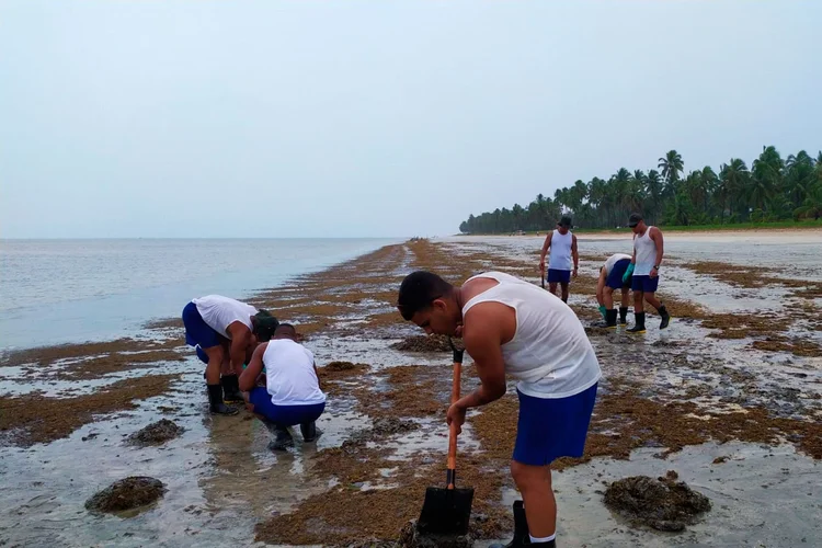 Limpeza do óleo: próprio site da Marinha traz dezenas de imagens de atividades de remoção de óleo em que seus oficiais aparecem de bermuda e regata (Marinha do Brasil/Divulgação)