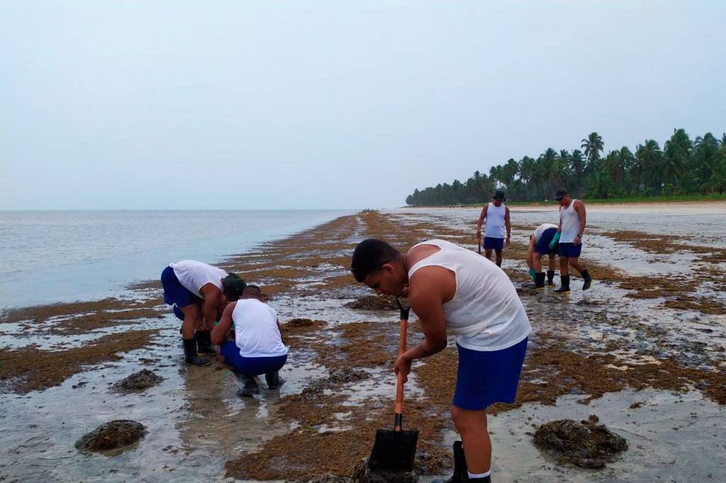 Voluntários lutam contra óleo, mas poluição em praias persistirá por anos
