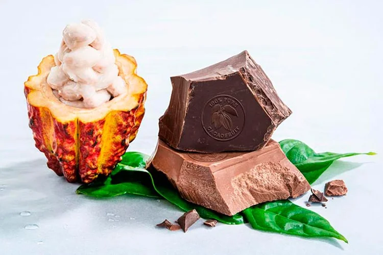  (Barry Callebaut/Divulgação)