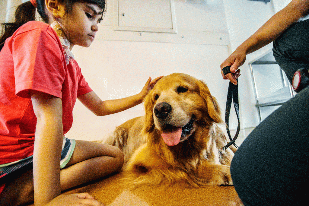 SoftBank investe em startup que busca prolongar vida de cães